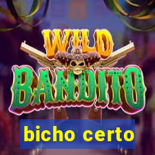 bicho certo